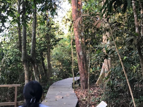 Personal Development coaching is about many facets of you as an individual.. Set Goal and Hit them