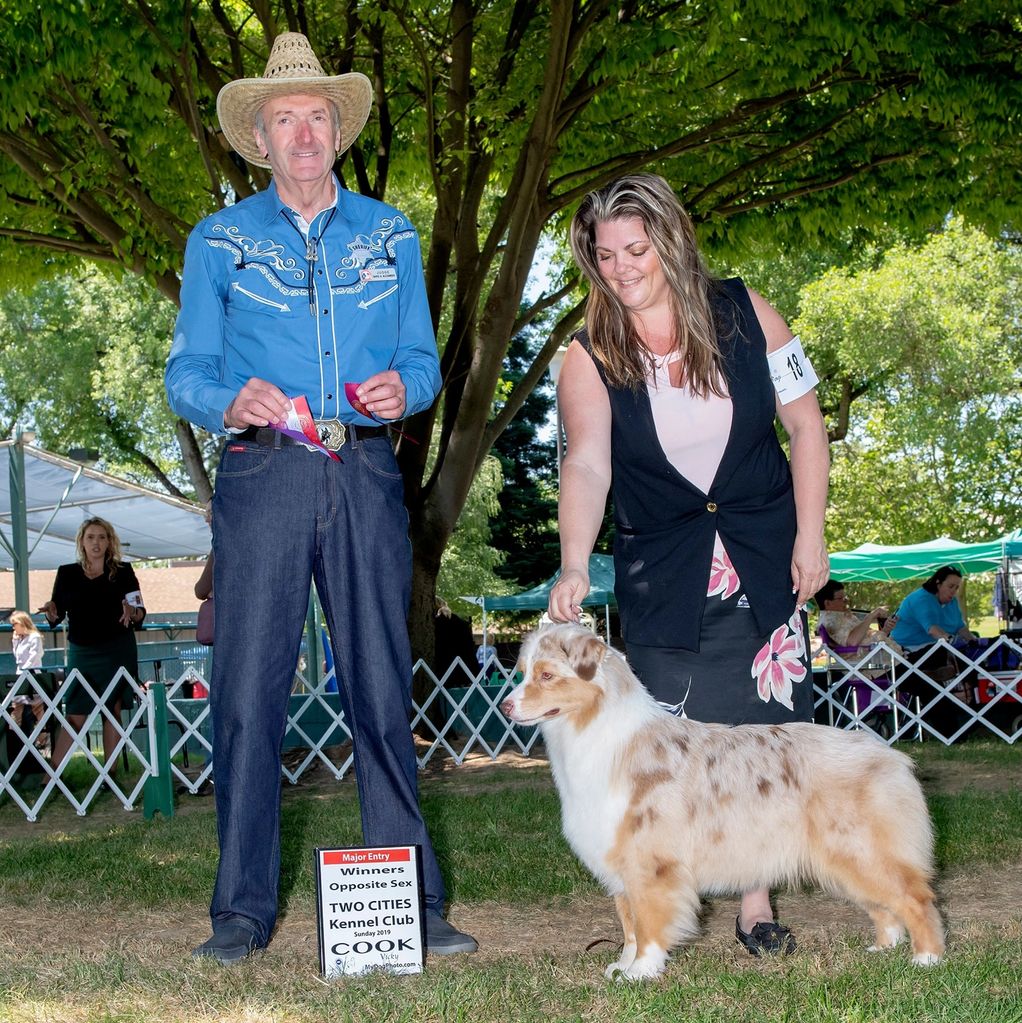 Maddie winning her first major at the AKC dog show in Yuba City CA