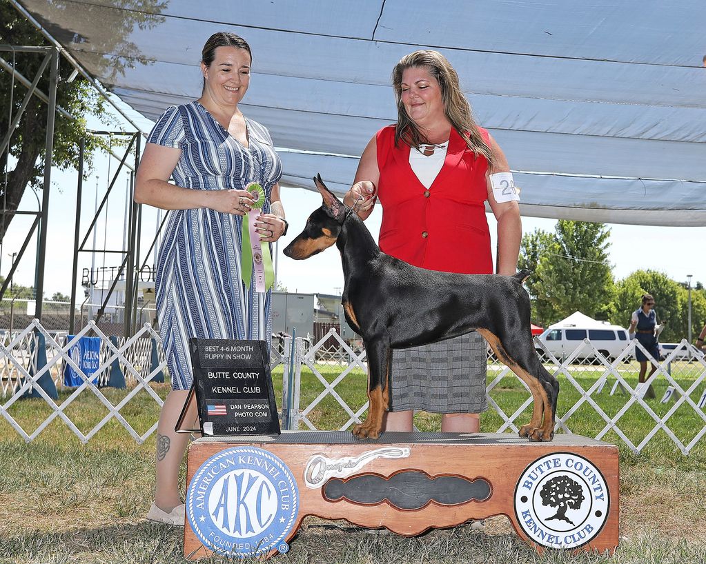 Haylen at 4 months old winning Best in Show Puppy!