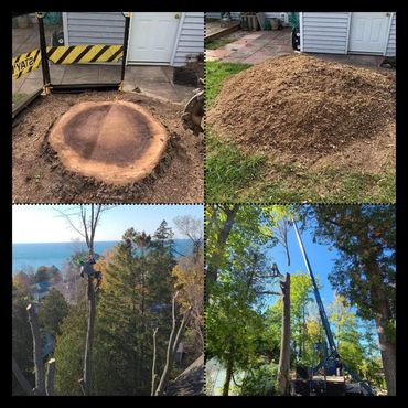 Stump Grinding, Tree Removal