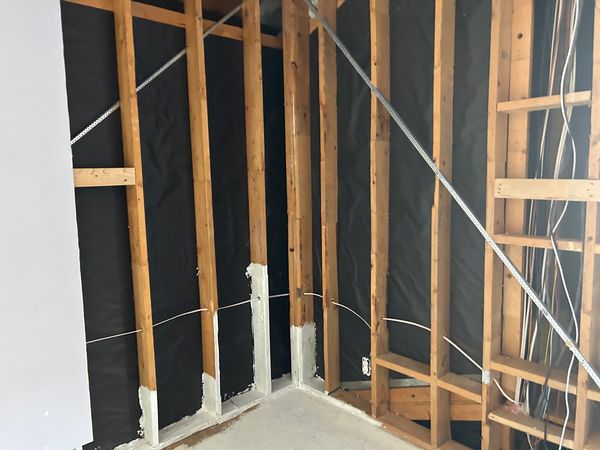 home mold removal