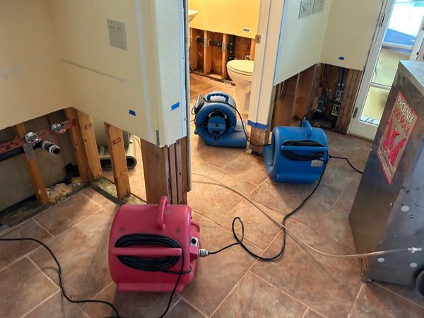 Placed drying equipment to dry wood framing in chandler Arizona home.
