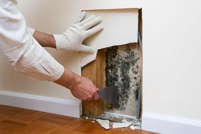 Finding Mold behind drywall