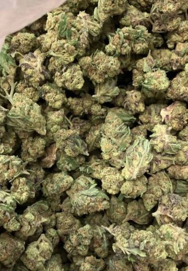 Buy cannabis weed online
Buy marijuana online (cali)