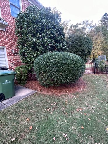 Lawn care maintenance