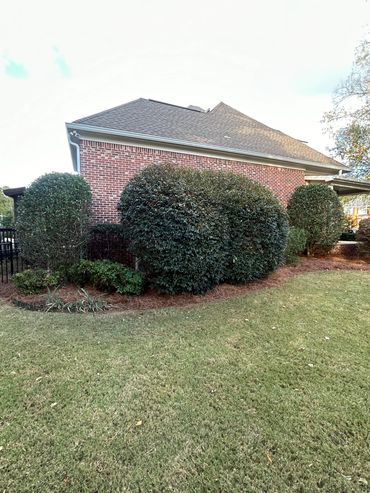 Lawn care maintenance and landscapingn