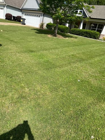 Lawn care maintenance and weed control services