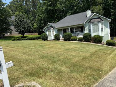 Lawn care, lawn maintenance