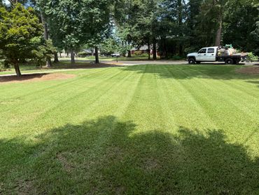 Lawn care, lawn maintenance, grounds maintenance