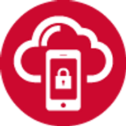 Broadcom, Symantec, Endpoint Security, Symantec Endpoint Security, Symantec VIP, VIP