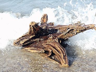 Lake Michigan Beaches offer great beachcombers delights. Sleeping Bear Bay.