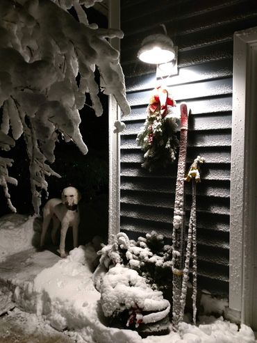 The quiet beauty of a new snowfall. At times winters can be snowy but we get outside and enjoy them.