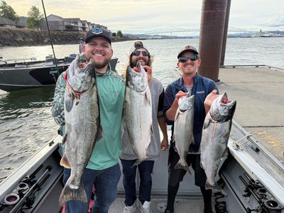 Chinook salmon on the Columbia River
