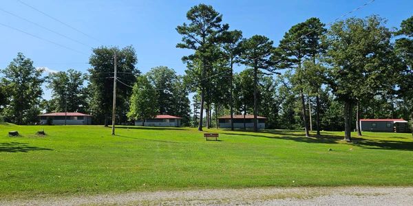4 cabins, tall trees, and green grass.