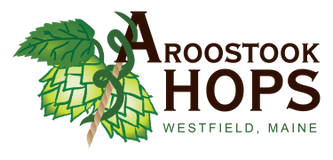 Aroostook Hops