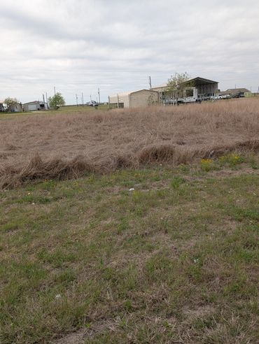 overgrown lot