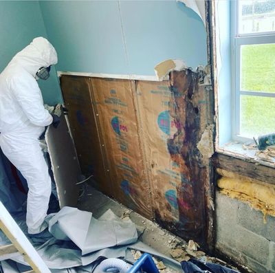 MOLD REMEDIATION, MOLD CLEAN UP AND REMOVAL DUE TO A WINDOW LEAK.