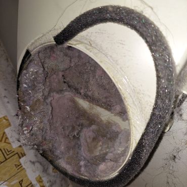 The customer didn't know how to clean this or that it needed to be done. This is likely years of deb