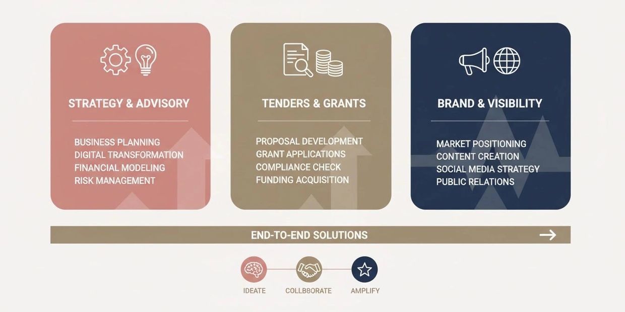 Infographic showcasing strategy, tenders, and branding services for business growth.