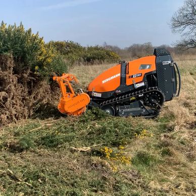 Vegetation Being Cleared by Machine