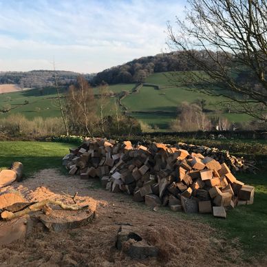 A Pile of Logs