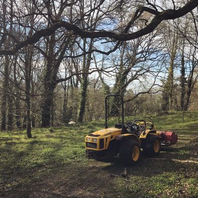 Alpine Tractor in Woodland