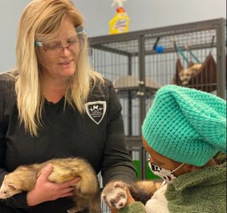 Our Chief Operations Officer Tammy DeArmond OTR/L. Helping the client playing with Ferrets