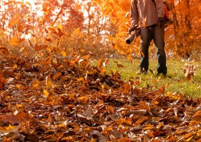 Person blowing leaves during a fall cleanup