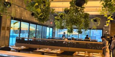 Modern restaurant interior with hanging plants and large windows.