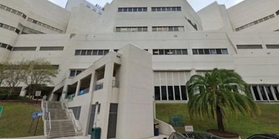 Exterior view of a large institutional building with stairs and palm tree.