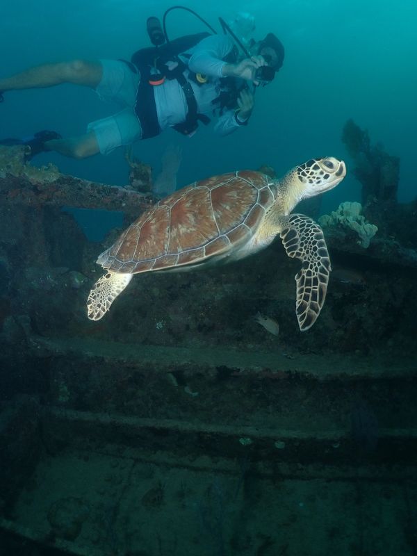 scuba diving Key Largo. PADI Open Water Diver course Key Largo. Private boat charter Key Largo
