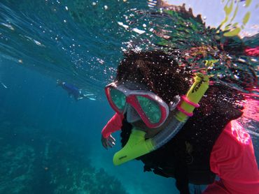 Key Largo scuba diving charters, Key Largo snorkeling tours, Key Largo PADI Open Water courses