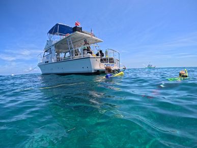 Key Largo PADI scuba diving, Key Largo scuba, PADI Key Largo Discover Scuba Diving in Key Largo,