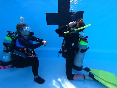 PADI Discover Scuba Diving in Key Largo, Key Largo scuba diving, Key Largo scuba, Key Largo scuba