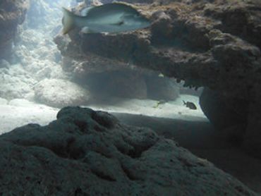 Scuba diving guided tour at Sand Bottom Cave