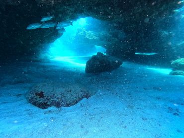 Sand Bottom Caves, Key Largo guided scuba diving tours, Key Largo scuba diving, snorkeling