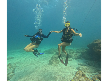 Key Largo scuba diving, Key Largo snorkeling charters, Private boat charters Key Largo, Key Largo