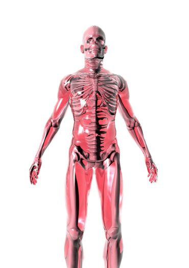 Image representation of muscles