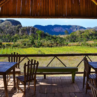 Experience the beauty of Viñales Valley, Cuba, from this charming patio with rustic furniture and panoramic views of the mogotes.