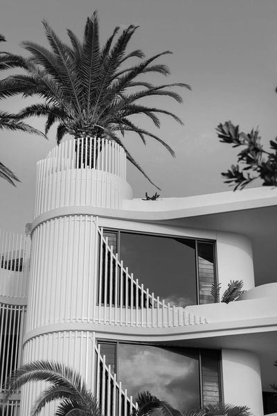 Modern white building with curved design and palm trees on rooftop.