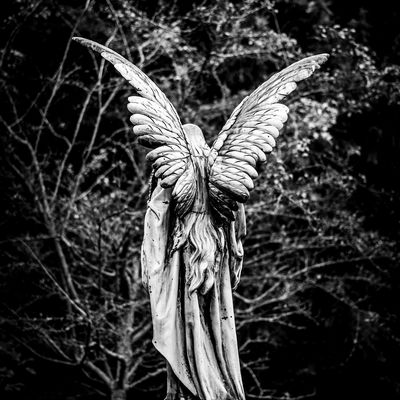 Photo of a sculpture of an angel in a cemetery