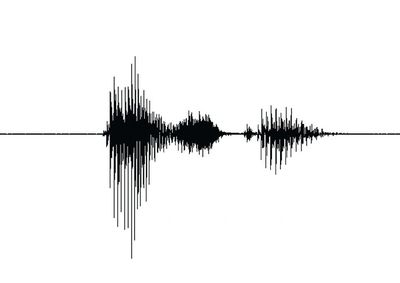 image of an electroacoustic wave