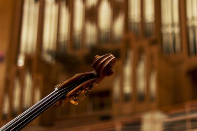 photo of a stringed instrument in front of an organ case