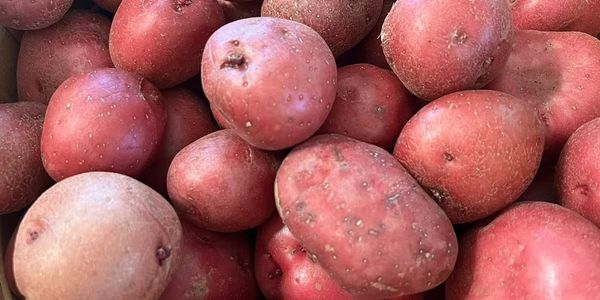 fresh produce, pesticide and herbicide free