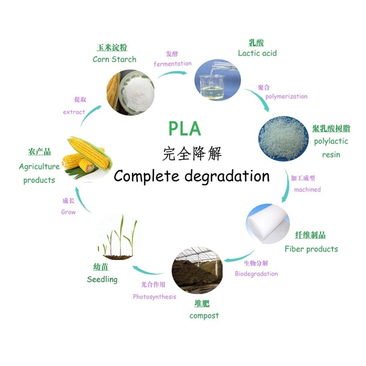 complet degradation PLA  nonwoven fabric
