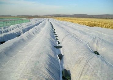 Nonwoven gound cover