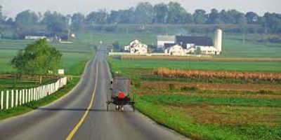 Amish horse and buggy in scenic Lancaster County farmlands