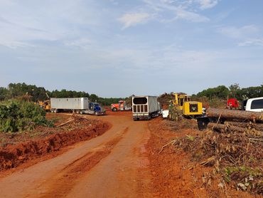 A chipper (far left) blows wood chips, from logging debris, into a chip van