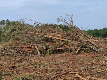 Where markets exist, otherwise wasted harvesting slash finds use in wood chips or boiler fuel