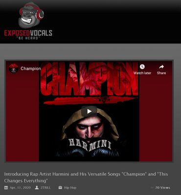 Harmini screen capture of single Champion with boxer photograph and gloves